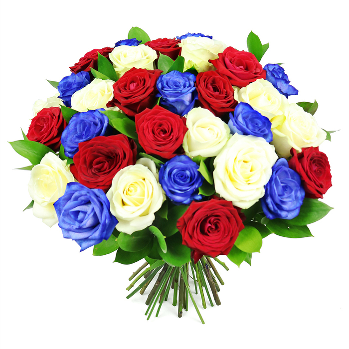 A beautifully composed bouquet of roses in red, white, and royal blue fills the frame, shaped into a tight, rounded dome that feels both opulent and carefully controlled. Every bloom seems deliberately placed so that the three colours are evenly distributed, creating a harmonious visual rhythm reminiscent of flags flown proudly during national holidays in and around Plumstead. The crimson roses have a classic, rich tone, their petals forming lush layers that invite the hand to reach out and touch. The white roses are slightly creamy rather than stark, bringing a gentle brightness that softens the intensity of the darker tones. The blue roses are a vivid sapphire shade, rare and eye-catching, lending the arrangement a modern, almost artistic character while still clearly honouring a patriotic theme. Interspersed among the rose heads, dark green leaves with a smooth, glossy finish break up the colour fields and add natural depth, as though the bouquet has just been cut from a well-tended garden. At the base, the stems converge into a well-trimmed bundle, uniformly cut and held closely together to create an elegant, hand-tied appearance. The bouquet rests against a stark white background, which makes the colours pop dramatically and helps each petal edge and leaf vein stand out. It is easy to imagine this arrangement positioned in a hallway of a Plumstead townhouse, welcoming visitors on Remembrance Sunday, or set at the centre of a dining table after a walk across Winn's Common, conveying a sense of gratitude, dignity, and shared heritage through its balanced design and timeless rose fragrance.