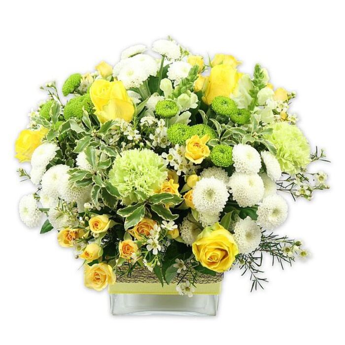 A vibrant, dome-shaped bouquet brimming with yellow, white, and green blooms is elegantly presented in a clear, square glass vase, photographed against a simple white backdrop that highlights every subtle texture and colour. The composition feels both modern and welcoming, much like the homes that line the streets around Plumstead High Street. At the centre, plush yellow roses draw the eye, their petals unfolding in generous layers; some blooms are fully open and sumptuous, while others remain in bud, contributing height and visual interest. Surrounding these focal roses, clusters of yellow spray roses create smaller, more intricate bursts of colour, filling in the spaces and lending the design a full, garden-like abundance. White pompom chrysanthemums and tightly packed white button mums sit between the yellow flowers, forming rounded shapes that resemble little clouds of petals, offering a calming, pure counterpoint to the warmer tones. Bright lime green button chrysanthemums, compact and spherical, are interspersed throughout, providing striking pops of fresh colour and a distinctive, tactile appearance. Larger, softly ruffled pale green flowers-similar to frilly carnations or specialty green chrysanthemums-add extra volume and a feathery lightness to the overall shape. The arrangement is richly cushioned with foliage: broad, variegated leaves edged in creamy white, deeper green leaves that anchor the design, and airy sprigs of fine greenery that prevent the bouquet from feeling too heavy. Delicate white filler flowers, perhaps waxflower or gypsophila, shimmer between the larger heads, adding gentle brightness and intricacy. The clear glass vase is banded mid-way with a rustic, textured wrap of woven natural fibre or bark, over which a sleek lime green ribbon is tied, echoing the green blooms above. This joyful design feels ideal for celebrating a birthday or anniversary in SE18, welcoming someone to a new Plumstead home, or simply bringing a fresh breath of nature to a quiet corner of the living room.